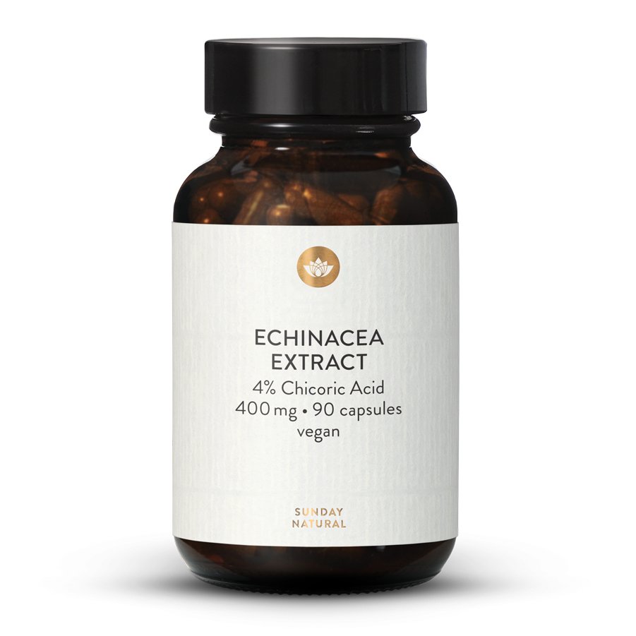 Equinácea